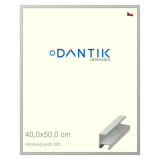 DANTIK rámeček 40x50 | ALU profil 6220 Stříbrná matná (Sklo Čiré)