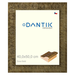 DANTIK rámeček 40x50 | Dora Gold (Sklo Čiré)