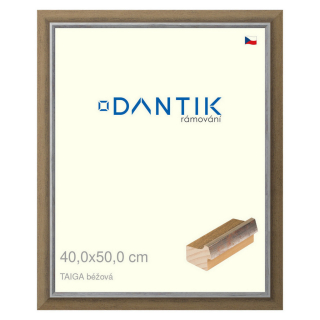 DANTIK rámeček 40x50 | TAIGA béžová (Sklo Čiré)