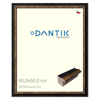 DANTIK rámeček 40x50 | TRITON černá (Sklo Čiré)