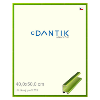 DANTIK rámeček 40x50 | ALU profil 7269 Zelená Smaragd broušená (Sklo Čiré)