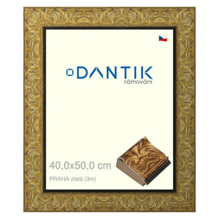 DANTIK rámeček 40x50 | PRAHA zlatá (Sklo Čiré)