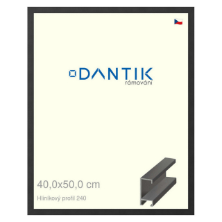 DANTIK rámeček 40x50 | ALU profil 6240 Černá matná (Sklo Čiré)