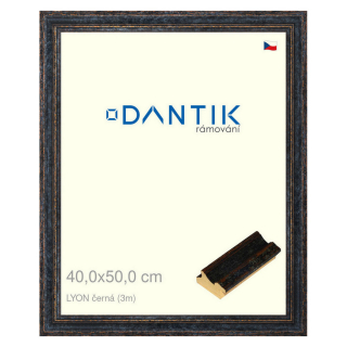 DANTIK rámeček 40x50 | LYON černá (Sklo Čiré)