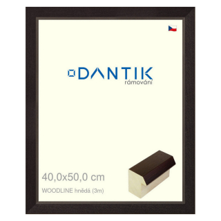DANTIK rámeček 40x50 | WOODLINE hnědá (Sklo Čiré)