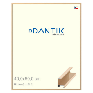 DANTIK rámeček 40x50 | ALU profil 6001 Zlatá lesklá (Sklo Čiré)
