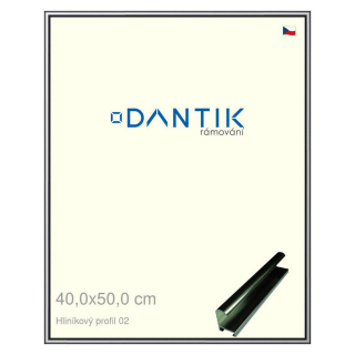 DANTIK rámeček 40x50 | ALU profil 7002 Šedá leská (Sklo Čiré)
