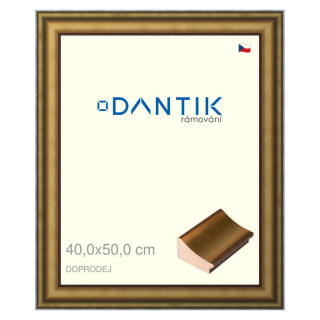 DANTIK rámeček 40x50 | Doprodej | METAL AU prohlá velká (Sklo Čiré)