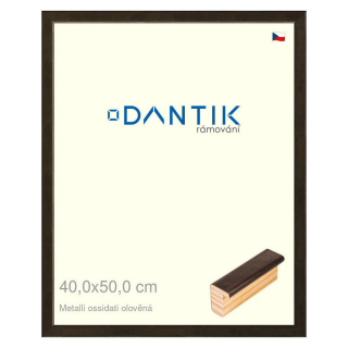 DANTIK rámeček 40x50 | Metalli oidati olověná (Sklo Čiré)