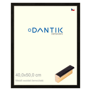 DANTIK rámeček 40x50 | Metalli oidati černozlatá (Sklo Čiré)