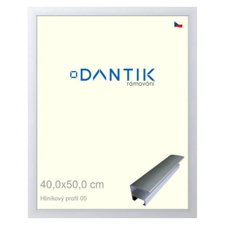 DANTIK rámeček 40x50 | ALU profil 7005 Stříbrná matná (Sklo Čiré)