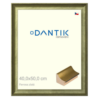 DANTIK rámeček 40x50 | Ferrosa zlatá (Sklo Čiré)