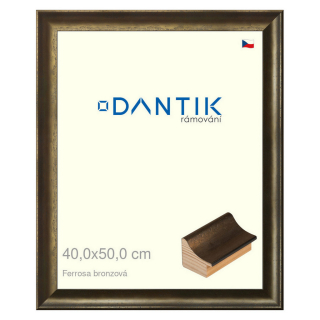 DANTIK rámeček 40x50 | Ferrosa bronzová (Sklo Čiré)