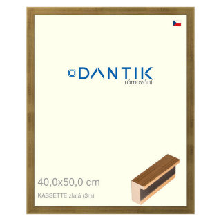 DANTIK rámeček 40x50 | KASSETTE zlatá (Sklo Čiré)