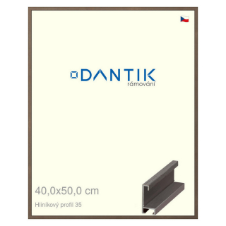 DANTIK rámeček 40x50 | ALU profil 6035 Hnědá tmavá (Sklo Čiré)
