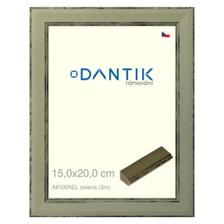 DANTIK rámeček 15x20 | AKVAREL zelená (Sklo Čiré)