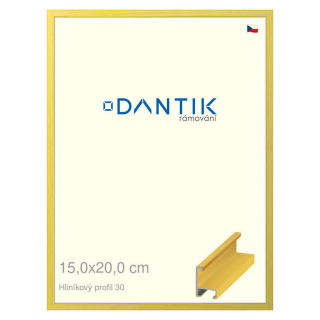 DANTIK rámeček 15x20 | ALU profil 6030 Dýha barevná žlutá citrus (Sklo Čiré)