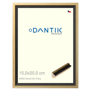 DANTIK rámeček 15x20 | NINA černá AU linka (Sklo Čiré)