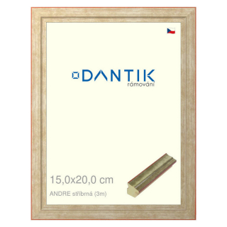DANTIK rámeček 15x20 | ANDRE stříbrná (Sklo Čiré)