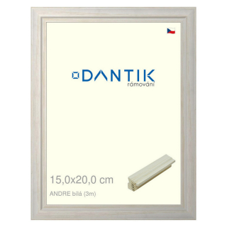 DANTIK rámeček 15x20 | ANDRE Bílá (Sklo Čiré)