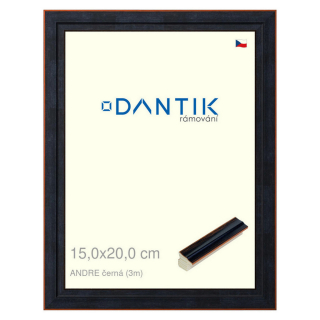DANTIK rámeček 15x20 | ANDRE černá (Sklo Čiré)