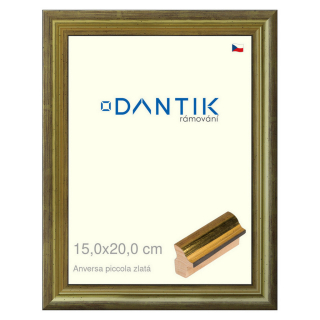 DANTIK rámeček 15x20 | ANIVERSA piccola zlatá (Sklo Čiré)