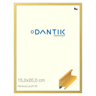 DANTIK rámeček 15x20 | ALU profil 6030 Dýha barevná žlutá (Sklo Čiré)