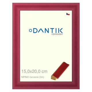 DANTIK rámeček 15x20 | NPINO červená (Sklo Čiré)