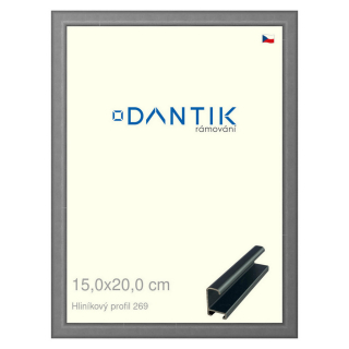 DANTIK rámeček 15x20 | ALU profil 7269 Platina matná (Sklo Čiré)