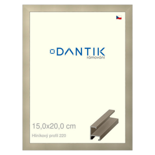 DANTIK rámeček 15x20 | ALU profil 6220 champagne (Sklo Čiré)