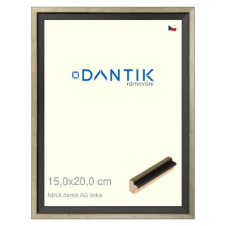 DANTIK rámeček 15x20 | NINA černá AG linka (Sklo Čiré)