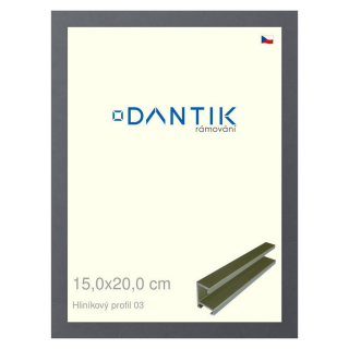 DANTIK rámeček 15x20 | ALU profil 7003 Platina matná (Sklo Čiré)