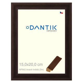 DANTIK rámeček 15x20 | NPINO tmavě hnědá (Sklo Čiré)