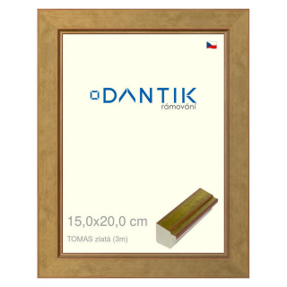 DANTIK rámeček 15x20 | TOMAS zlatá (Sklo Čiré)