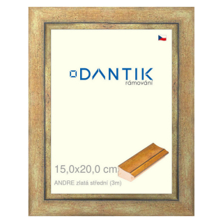 DANTIK rámeček 15x20 | ANDRE zlatá střední (Sklo Čiré)