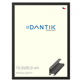 DANTIK rámeček 15x20 | ALU profil 6001 Černá matná (Sklo Čiré)