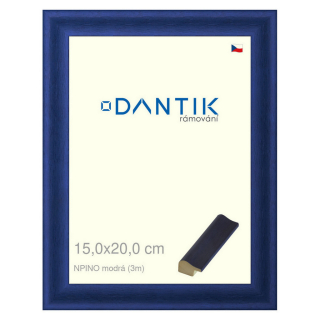 DANTIK rámeček 15x20 | NPINO modrá (Sklo Čiré)