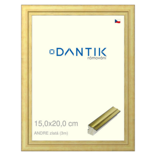 DANTIK rámeček 15x20 | ANDRE zlatá (Sklo Čiré)