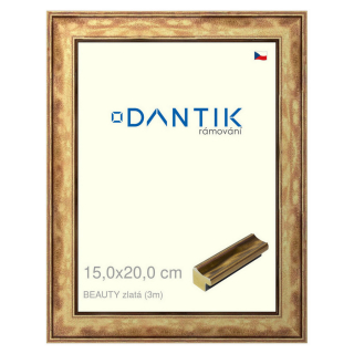 DANTIK rámeček 15x20 | BEAUTY zlatá (Sklo Čiré)