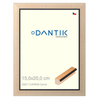 DANTIK rámeček 15x20 | CARINA černá (Sklo Čiré)
