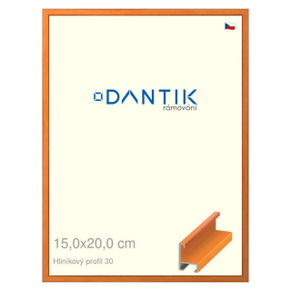 DANTIK rámeček 15x20 | ALU profil 6030 Dýha barevná oranžová (Sklo Čiré)