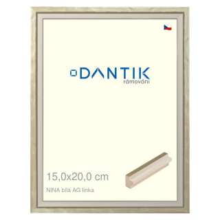 DANTIK rámeček 15x20 | NINA bílá AGlinka (Sklo Čiré)