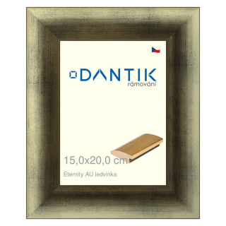 DANTIK rámeček 15x20 | LEDVINKA Eternity AU (Sklo Čiré)