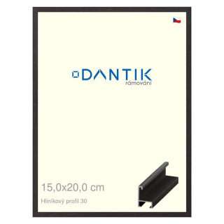 DANTIK rámeček 15x20 | ALU profil 6030 Dýha černá (Sklo Čiré)