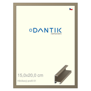 DANTIK rámeček 15x20 | ALU profil 6001 champagne (Sklo Čiré)