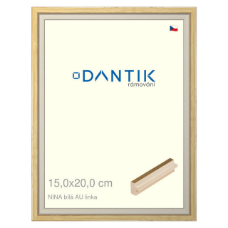 DANTIK rámeček 15x20 | NINA bílá AUlinka (Sklo Čiré)