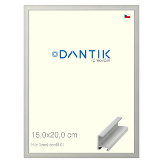 DANTIK rámeček 15x20 | ALU profil 6001 Stříbrná matná (Sklo Čiré)