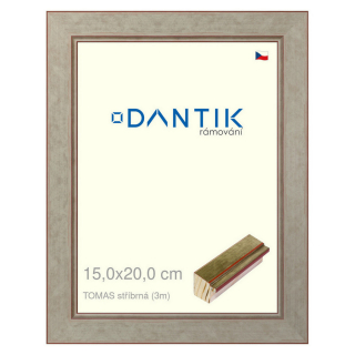 DANTIK rámeček 15x20 | TOMAS stříbrná (Sklo Čiré)