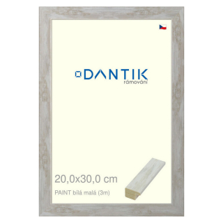 DANTIK rámeček 20x30 | PAINT bílá malá (Sklo Čiré)