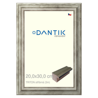 DANTIK rámeček 20x30 | TRITON stříbrná (Sklo Čiré)